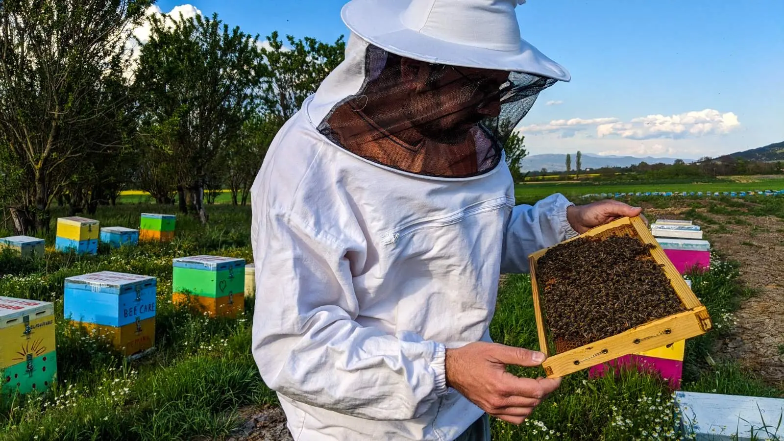 Μειωμένη κατά 70% η παραγωγή μελιού στη Θεσσαλονίκη λόγω βροχοπτώσεων
