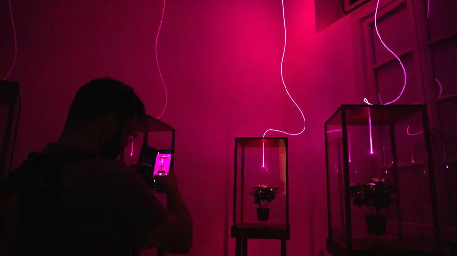 WIP24: Τέχνη, Τεχνολογία και Καινοτομία στην καρδιά της Λευκωσίας