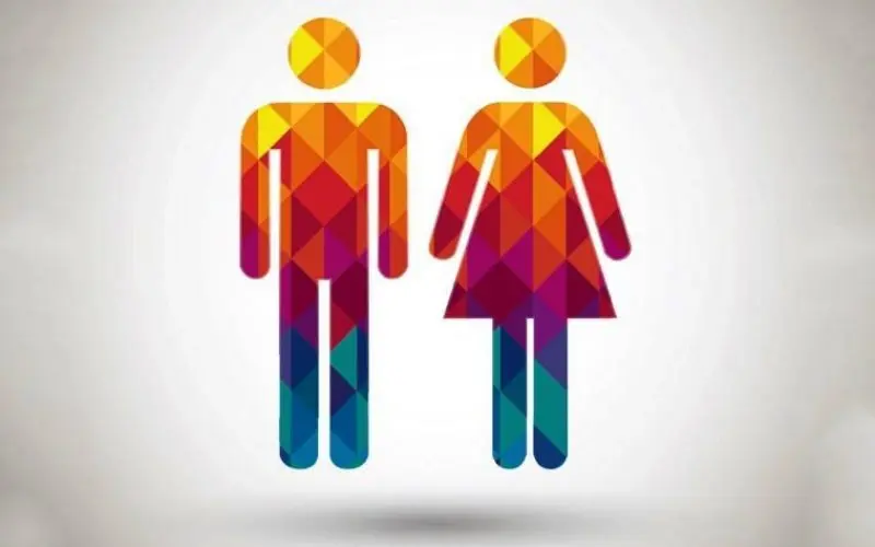 Η ισότητα των φύλων στην έρευνα