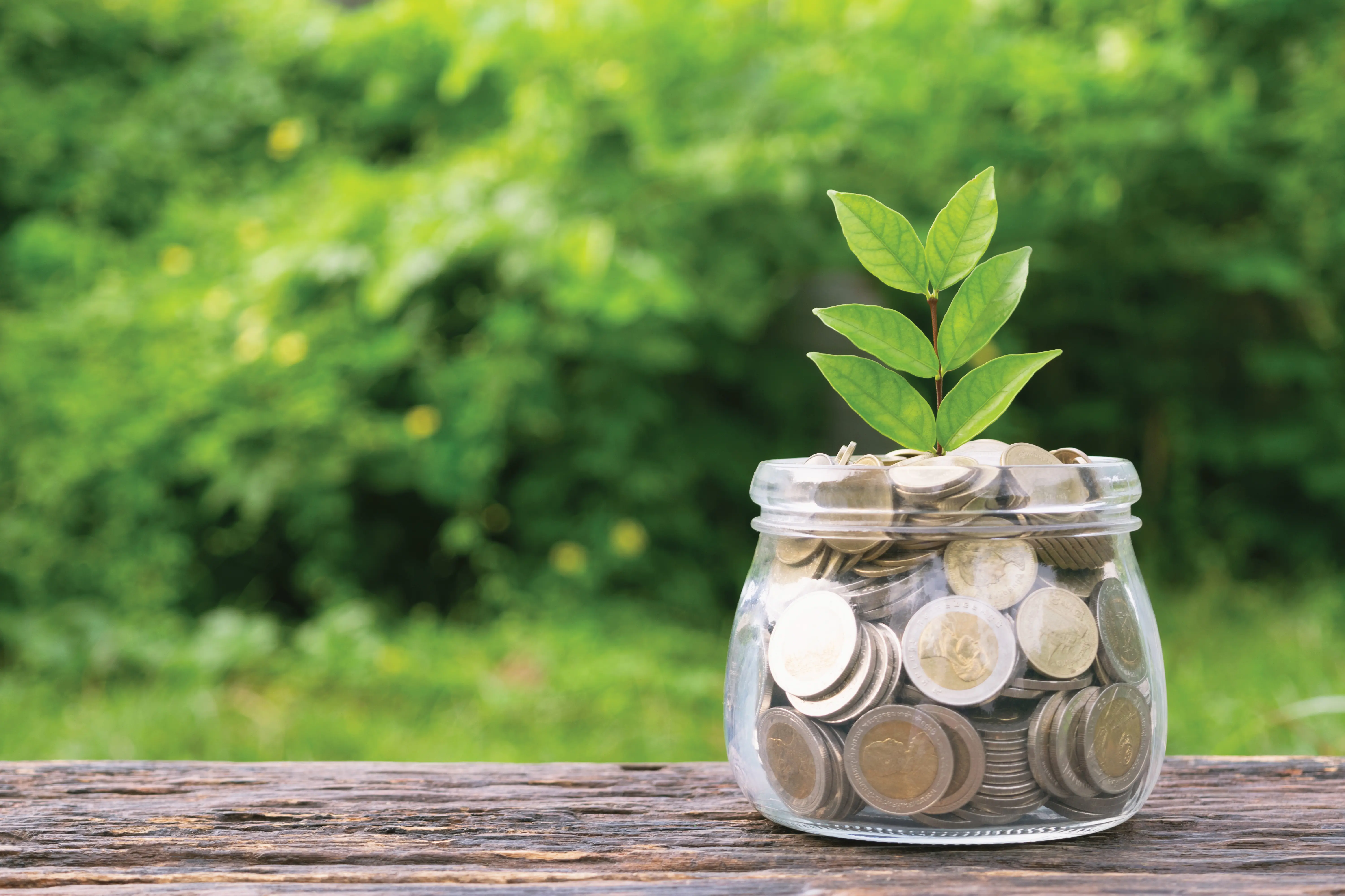 Η βιώσιμη εταιρική διακυβέρνηση