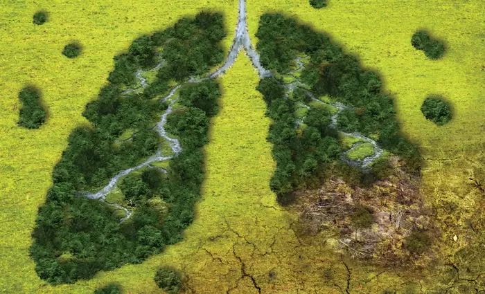 BACK TO THE FUTURE: Βιώσιμη ανάπτυξη και κλιματική κρίση