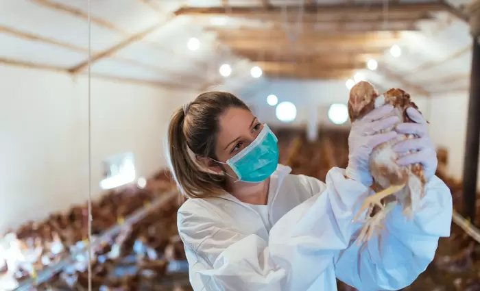 Βρέθηκε ο γενετικός κώδικας του κορωνοϊού
