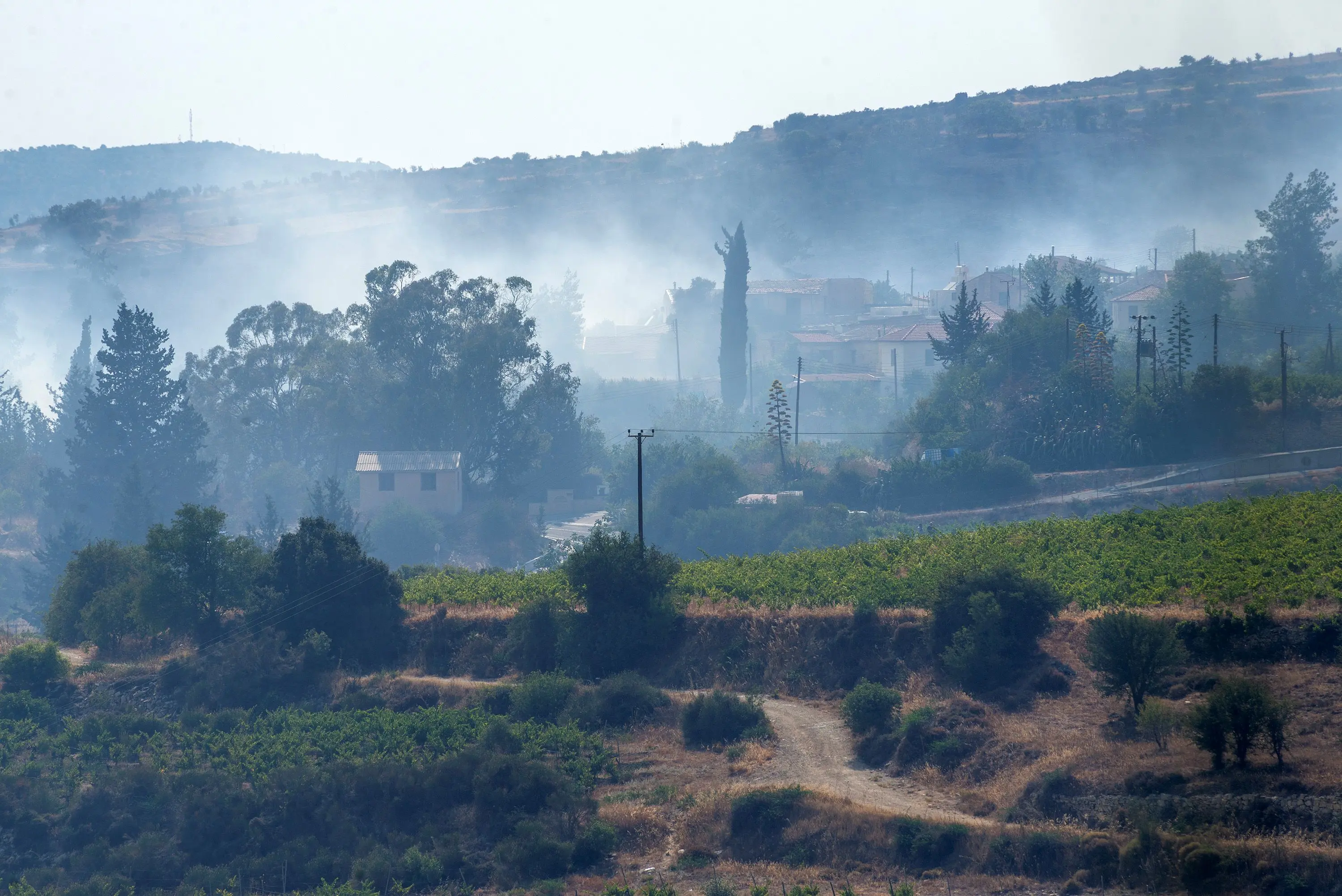 Από σήμερα δεκτές δηλώσεις για ζημιές σε καλλιέργειες από την πυρκαγιά