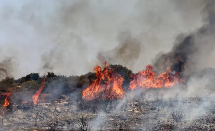 Χαρτσιώτης: Απόλυτα σεβαστό το πόρισμα της ATF για την πυρκαγιά στην Λεμεσό