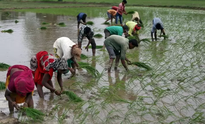 Κλιματική αλλαγή: Ποια τρόφιμα κινδυνεύουν να εξαφανιστούν από τα σούπερμάρκετ