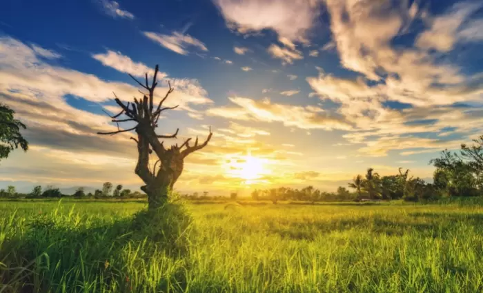 Αντιδράσεις στην Ευρώπη για τον κλιματικό στόχο του 2040