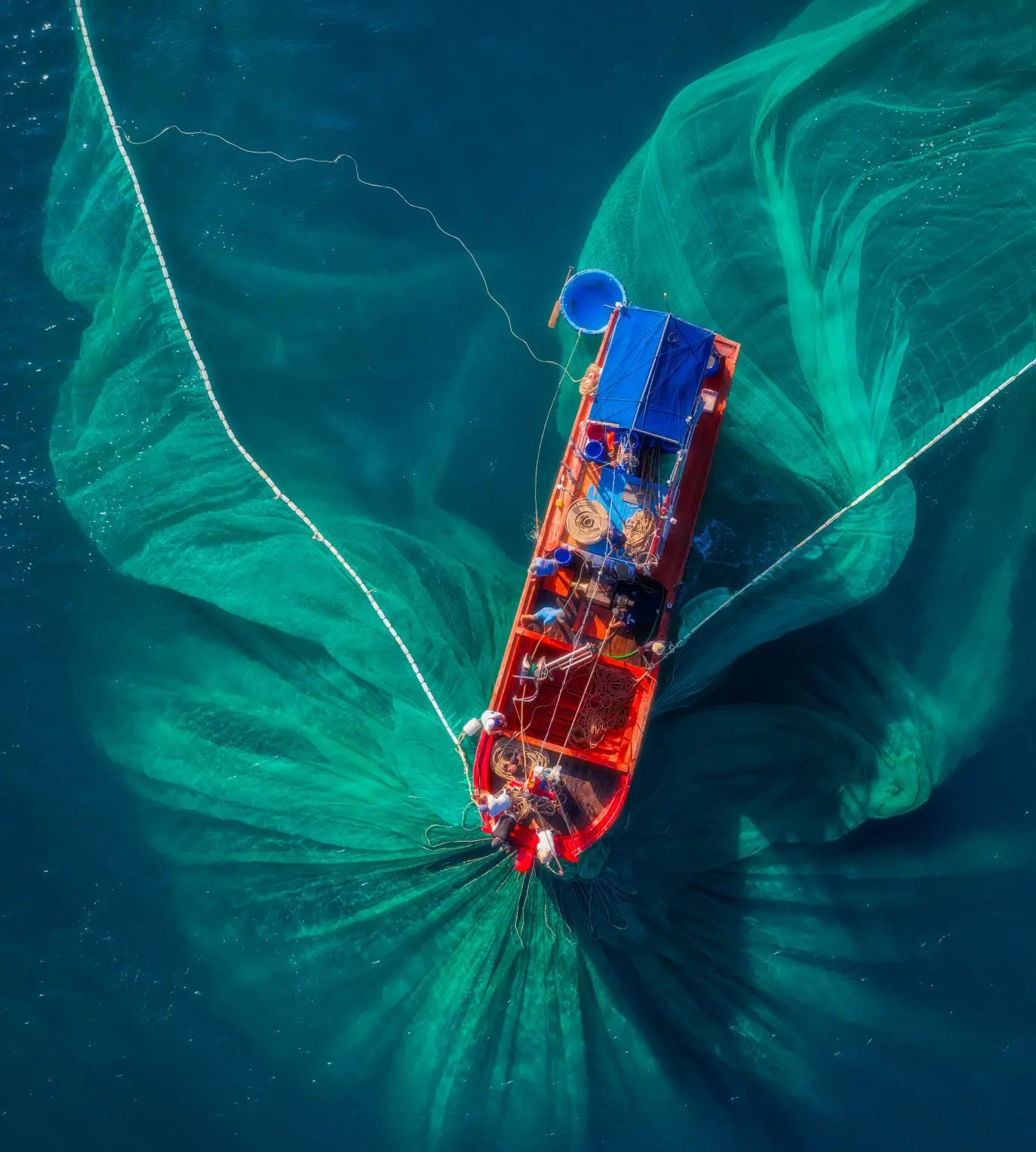Τα οικονομικά της αλιείας στην Κύπρο