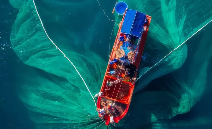 Τα οικονομικά της αλιείας στην Κύπρο