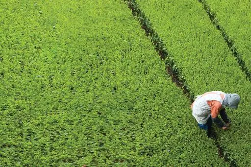 KPMG GPI 2019: Η Ευρώπη πρωτοστατεί στο παγκόσμιο επιχειρηματικό γίγνεσθαι