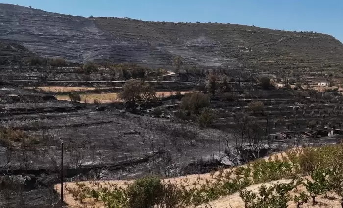«Στηρίξτε τα κρασοχώρια» - Έκκληση του Κοινοτάρχη Ομόδους