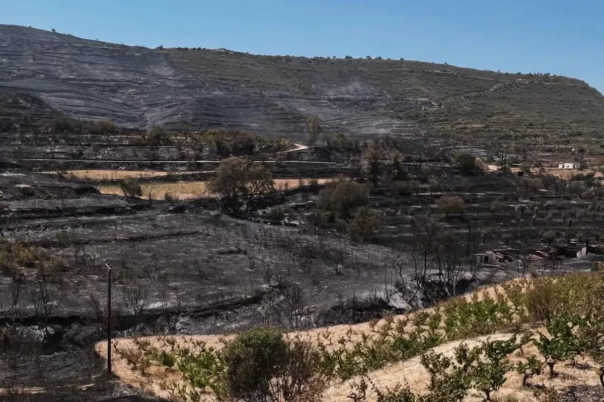 «Στηρίξτε τα κρασοχώρια» - Έκκληση του Κοινοτάρχη Ομόδους