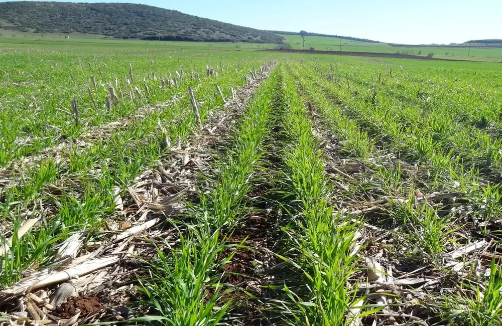 Χωρίς παράταση οι αιτήσεις για άδεια χρήσης κρατικής γης