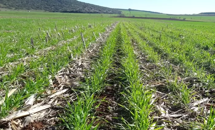 Χωρίς παράταση οι αιτήσεις για άδεια χρήσης κρατικής γης