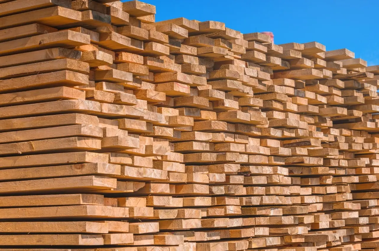 ΗΠΑ: Νέοι δασμοί στην ξυλεία και σε προϊόντα από ξύλο