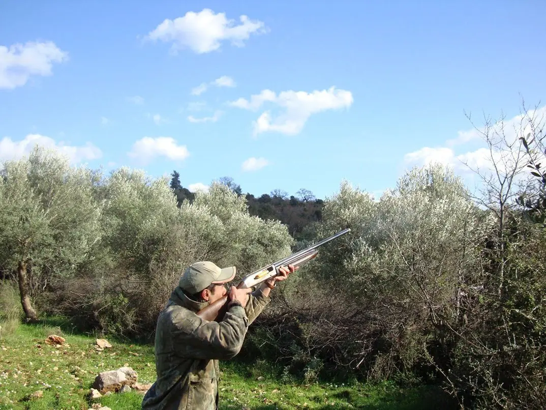 Αρχίζει σήμερα η κυνηγετική περίοδος-Τα πρόστιμα