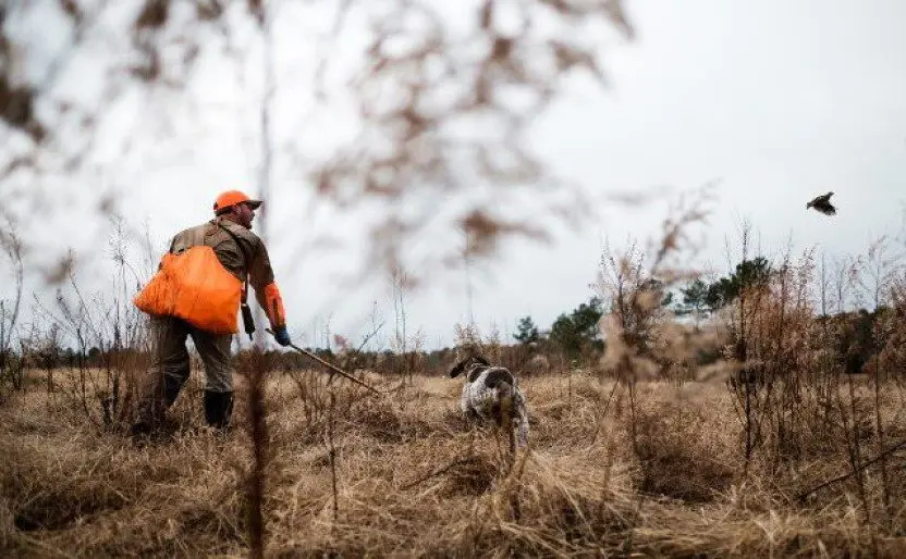 Πρόστιμο μέχρι €50.000 για άναμμα φωτιάς