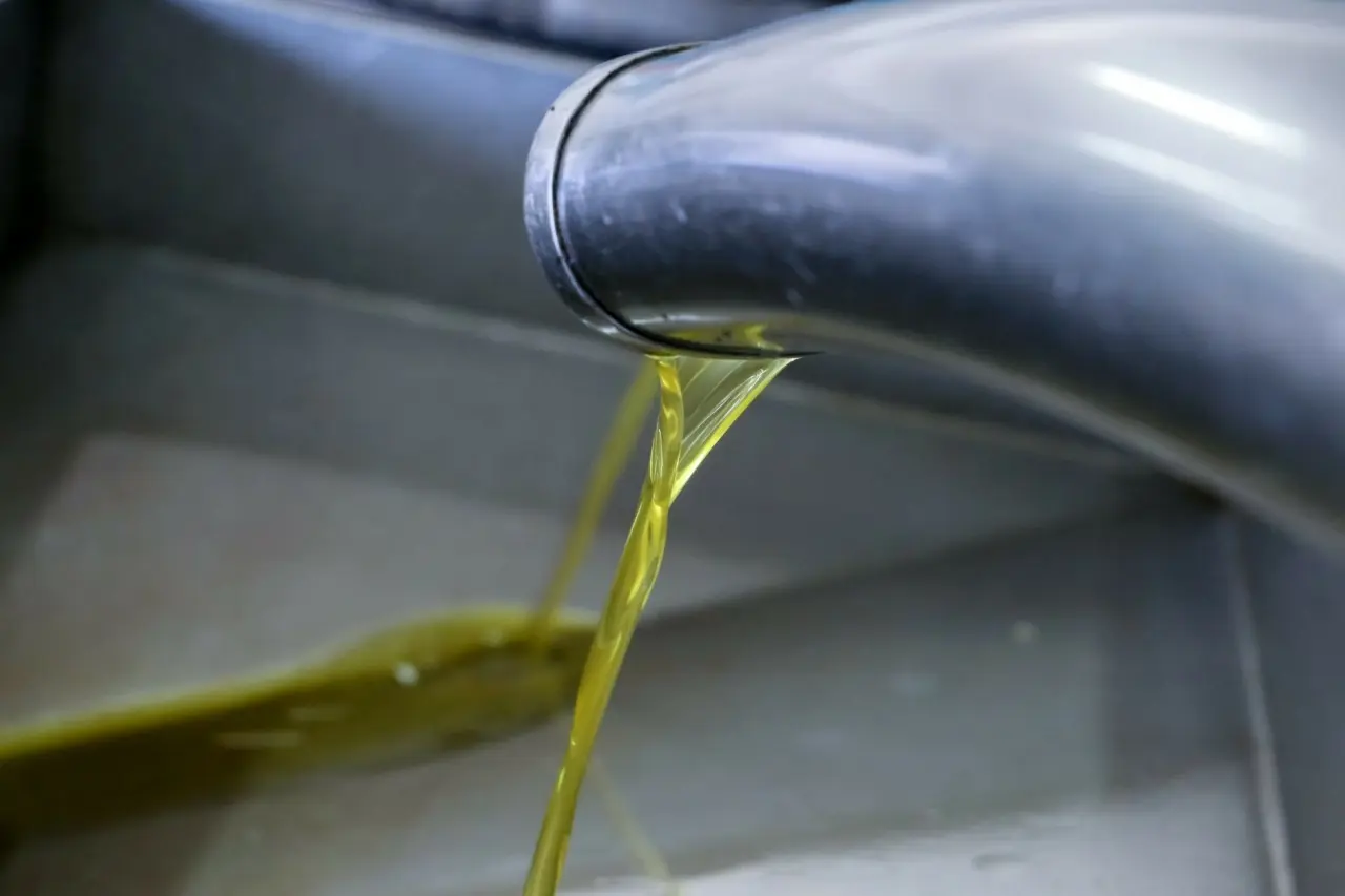 Guardian για λάδι: Σπάει κάθε ρεκόρ η νοθεία στην ΕΕ