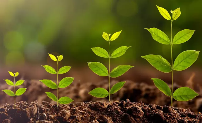 Η Κύπρος, ως πόλος έλξης επενδύσεων