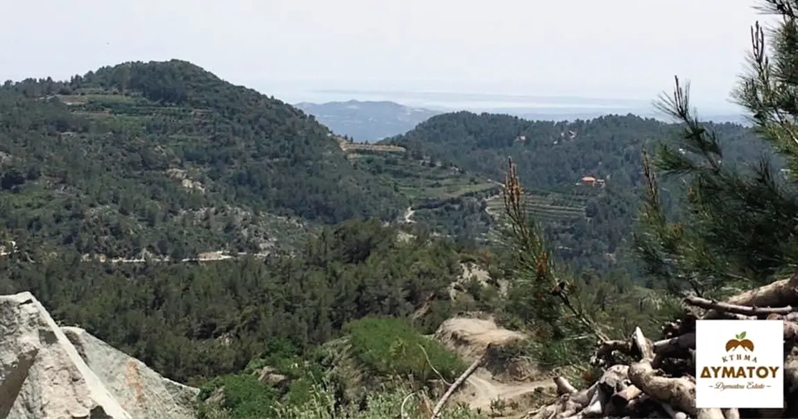 Κτήμα Δυμάτου: Ένα όνειρο που έγινε πραγματικότητα