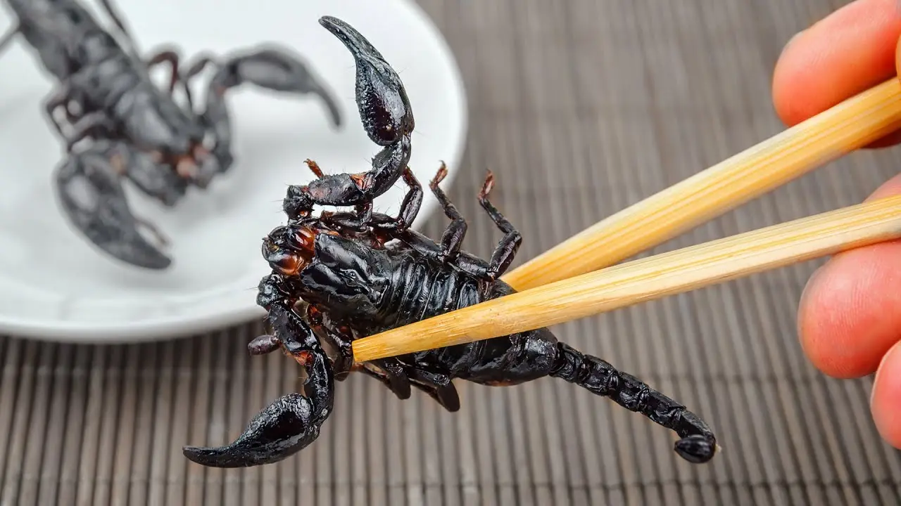 Πόσο τζίρο κάνει το εμπόριο ζωντανών και άγριων στην Κίνα; (αριθμοί)