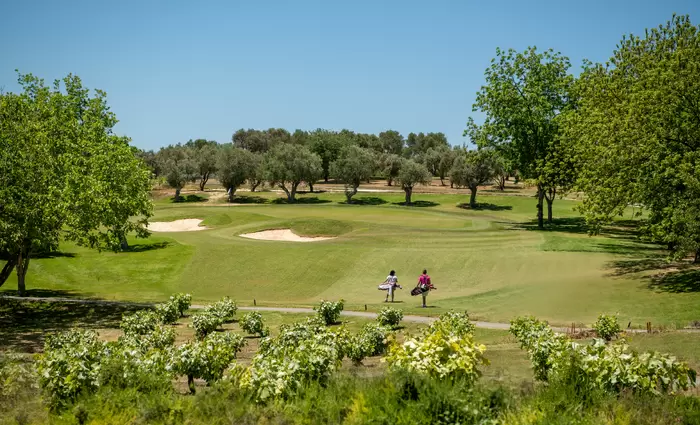 Minthis: Οικοδομώντας ένα βιώσιμο μέλλον