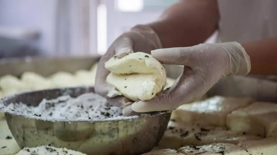 «Στα άρματα» οι τυροκόμοι για αύξηση αιγοπρόβειου γάλακτος στο χαλλούμι