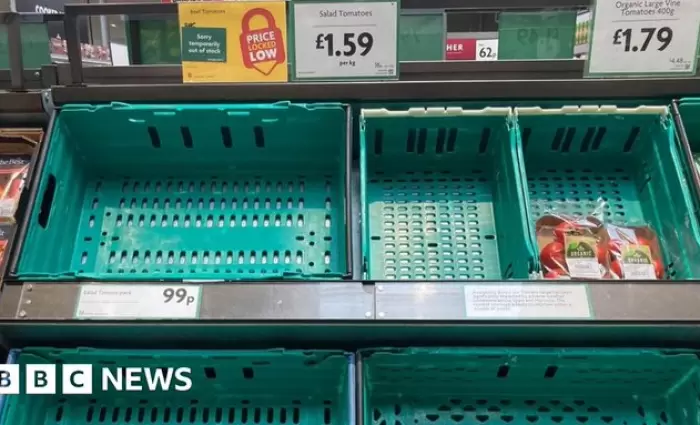 Ξέμεινε από ντομάτες η Βρετανία - Τι λένε τα μεγάλα σούπερ μάρκετ