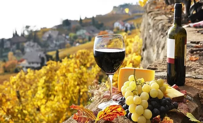 «Μεθά» την Κύπρο το ελληνικό κρασί - Στα ύψη οι εισαγωγές (Πίνακες)