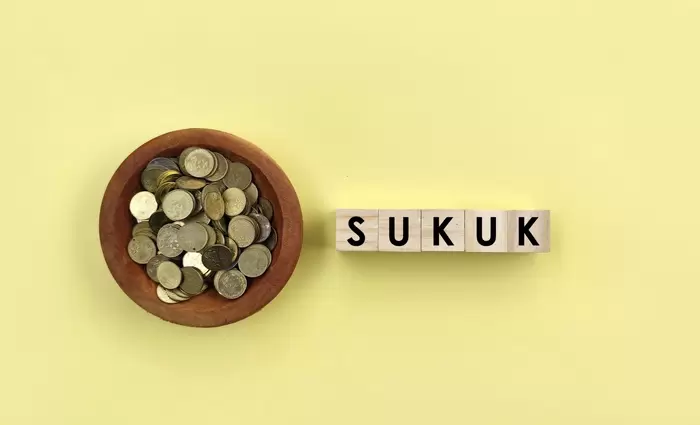 Τουρκία: Προχωρά σε έκδοση ομολόγου sukuk – Στόχος η άντληση $4 δισ. για ενεργειακή επέκταση