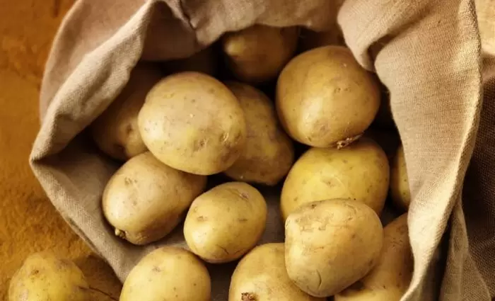 Είδος πολυτελείας η πατάτα - Γιατί απειλείται η παραγωγή της