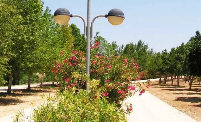 Ολική ανάπλαση 25 εκατομμυρίων κατά μήκος του Πεδιαίου