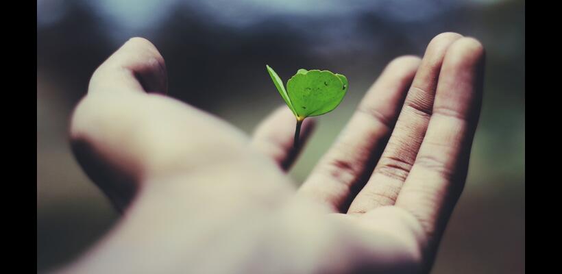 Ποιότητα: Η παράµετρος που παραγνωρίζουµε