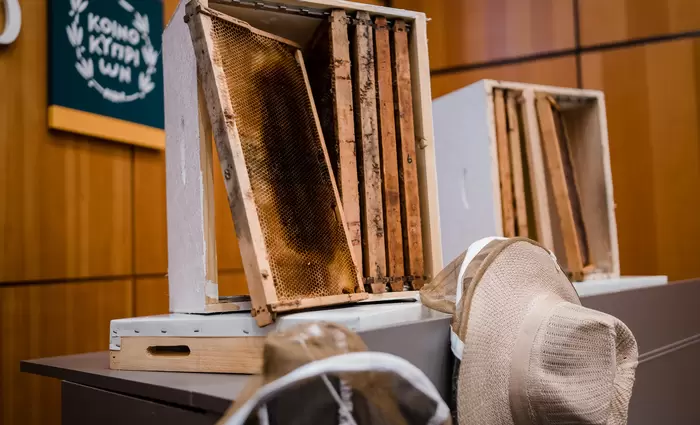 Ίδρυση Κέντρου Τεχνητής Αναπαραγωγής Βασίλισσας – Μέλισσας «Μέλισσα Ζωή»