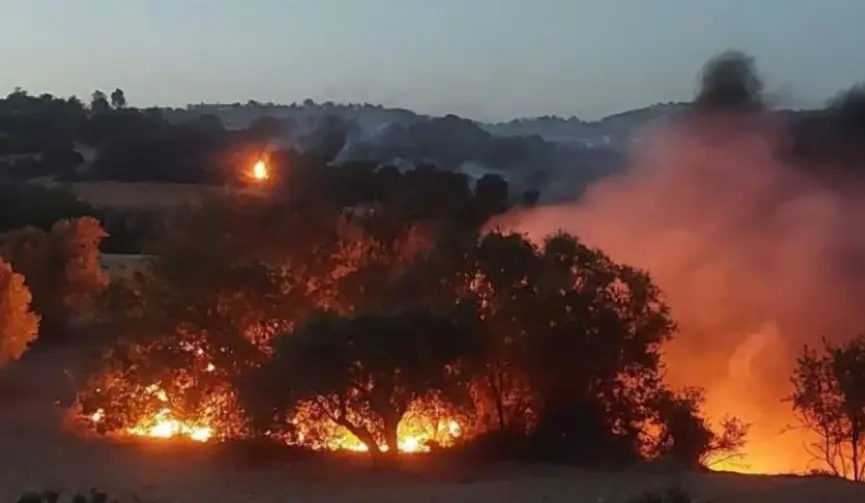 Στην Κύπρο η ATF των ΗΠΑ για τις πυρκαγιές – Ξεκινούν έρευνες την Πέμπτη