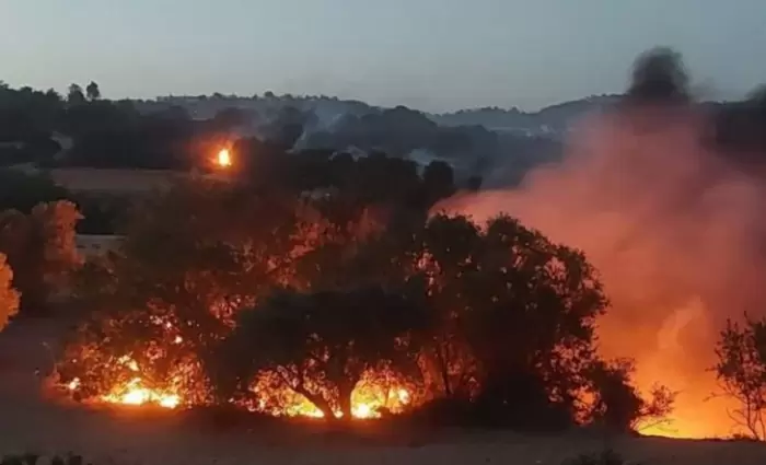 Στην Κύπρο η ATF των ΗΠΑ για τις πυρκαγιές – Ξεκινούν έρευνες την Πέμπτη
