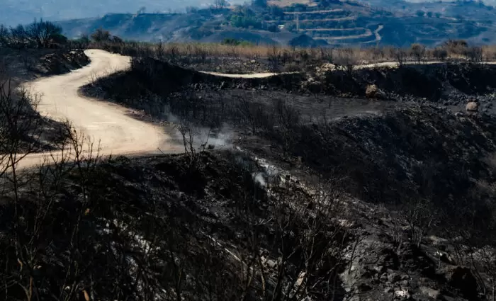 Κυβερνητική ενίσχυση €2,8 εκ. για άμεση ανακούφιση αγροτών πυρόπληκτων περιοχών