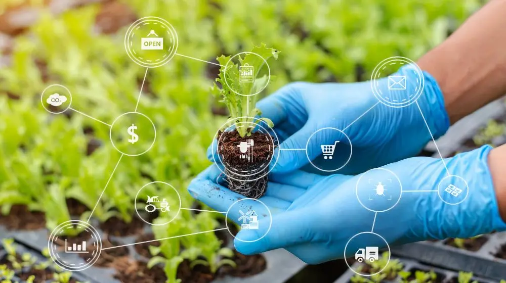 Επένδυση στη Βιοοικονομία για βιώσιμη αγροτική ανάπτυξη