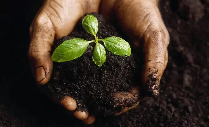 Ανάγκη για πράσινες δεξιότητες στην Κυπριακή Οικονομία 