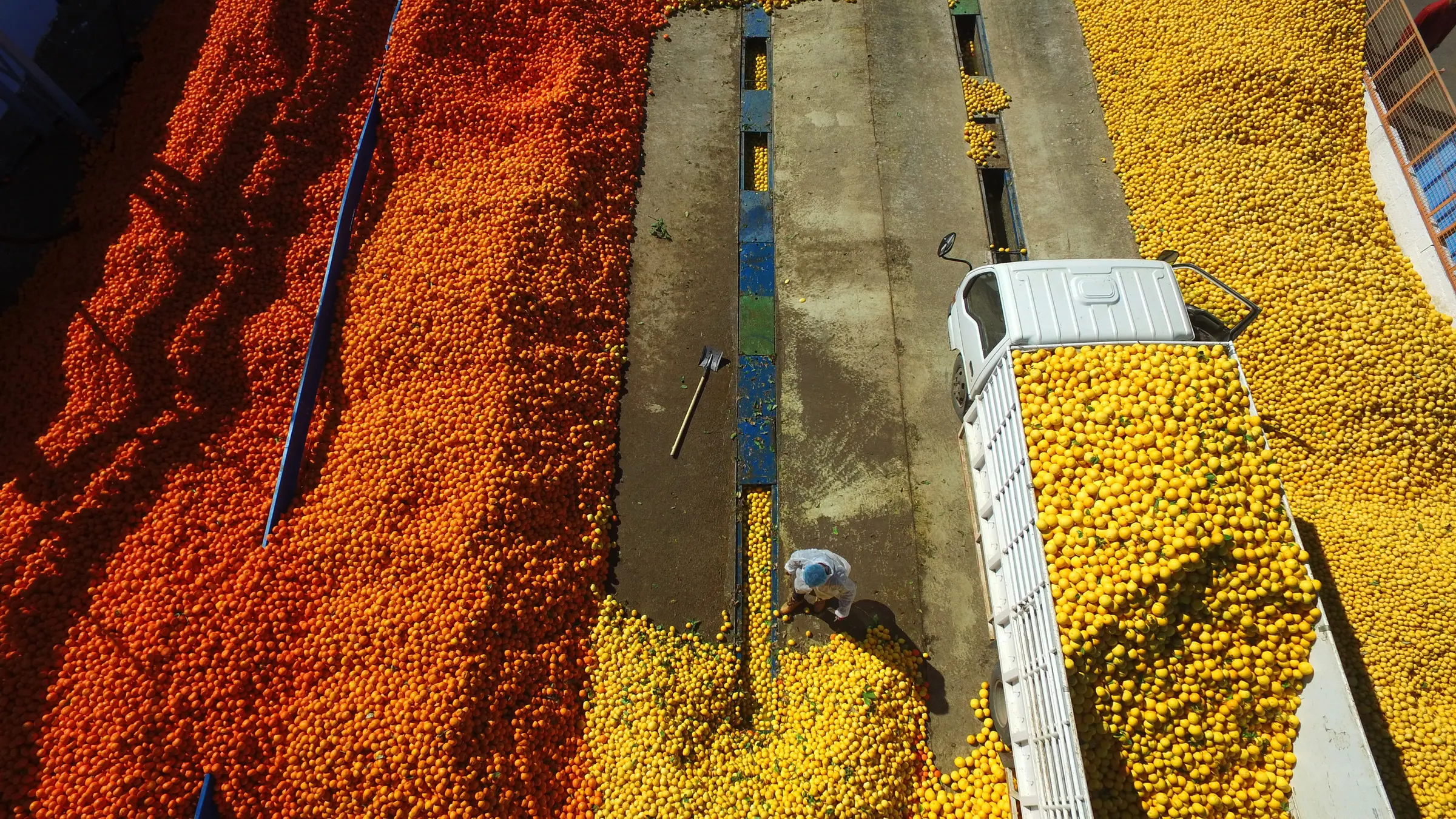 Ρέουν άφθονα οι κυπριακοί χυμοί σε κρουαζιερόπλοια και ασιατικούς αιθέρες