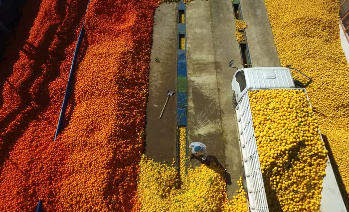 Ρέουν άφθονα οι κυπριακοί χυμοί σε κρουαζιερόπλοια και ασιατικούς αιθέρες