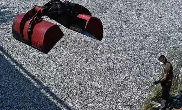 Βόλος: Καθάρισε ο Παγασητικός από τα νεκρά ψάρια