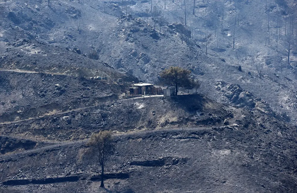 Η Τρ. Κύπρου αναλαμβάνει τα έξοδα μεταφοράς των τεσσάρων θυμάτων στην Αίγυπτο