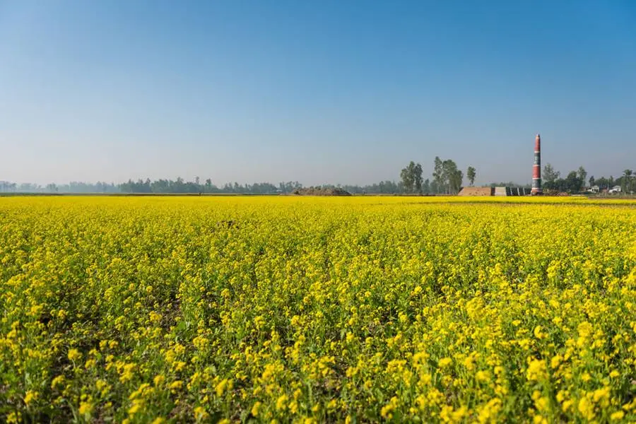Η πολιτεία στηρίζει την αναβάθμιση της υπαίθρου