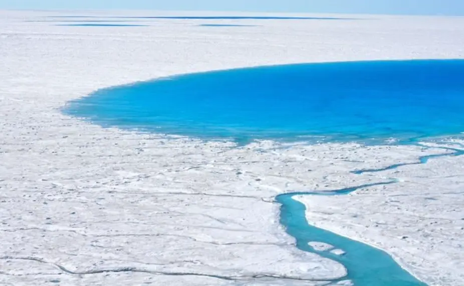 Η παγωμένη καρδιά της Γροιλανδίας αποκαλύπτει ότι ήταν κάποτε μια πράσινη τούνδρα με λουλούδια