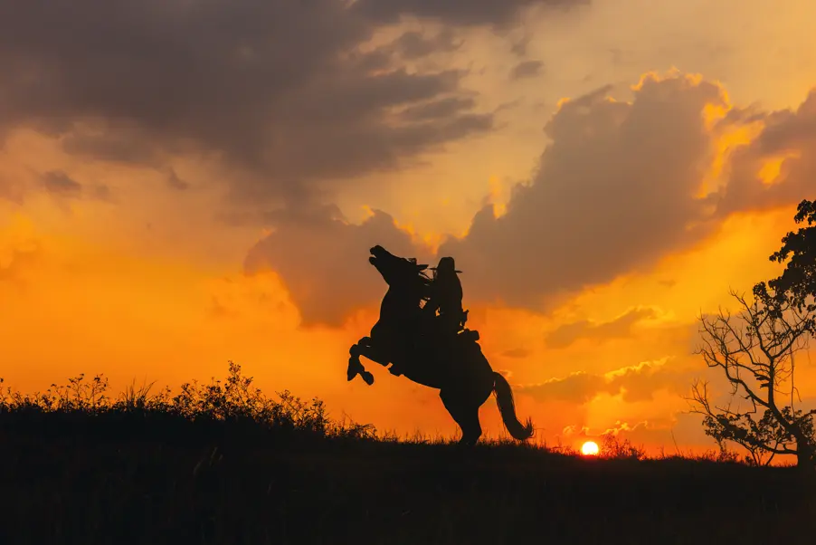 The New Sheriff in Town