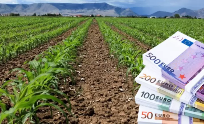 Α. Γρηγορίου: Πιστώσεις €2,9 εκατ. στην Αναπτυξιακή Εταιρεία Λεμεσού