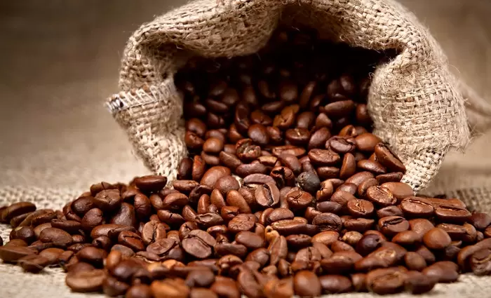 Το 60% του καφέ κινδυνεύει με εξαφάνιση