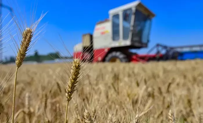 Στο έλεος του καιρού οι παγκόσμιες προμήθειες βασικών τροφίμων το 2024