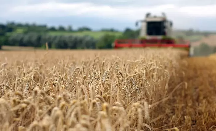 Τρόπους για εξαγωγή σιτηρών από την Ουκρανία ψάχνει η Βρετανία