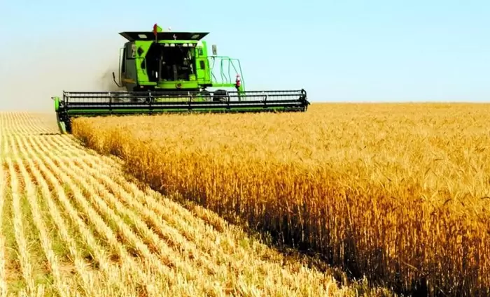 Υπάρχουν αποθέματα σιτηρών για 30 μέρες στην Κύπρο